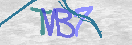 Obraz CAPTCHY