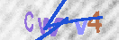 Obraz CAPTCHY