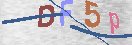 Obraz CAPTCHY