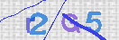 Obraz CAPTCHY