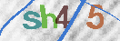 Obraz CAPTCHY