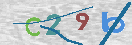 Obraz CAPTCHY