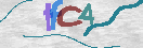 Obraz CAPTCHY
