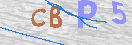 Obraz CAPTCHY
