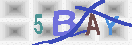 Obraz CAPTCHY